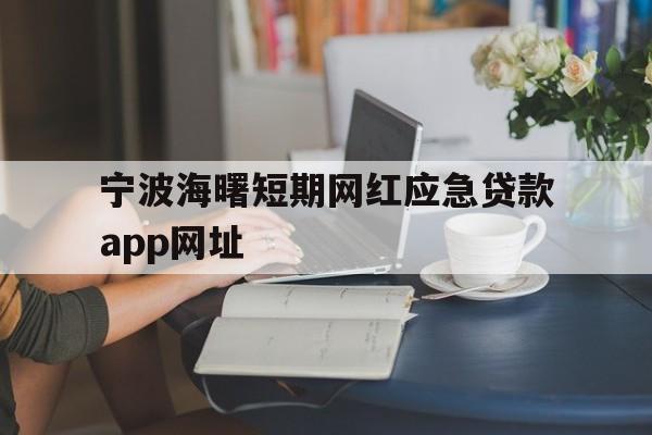 宁波海曙短期网红应急贷款app网址