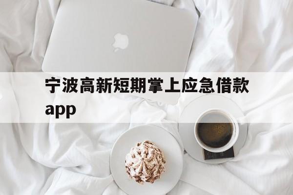 宁波高新短期掌上应急借款app