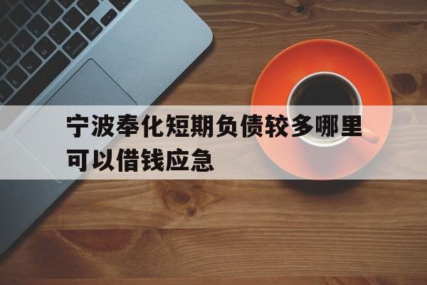 宁波奉化短期负债较多哪里可以借钱应急