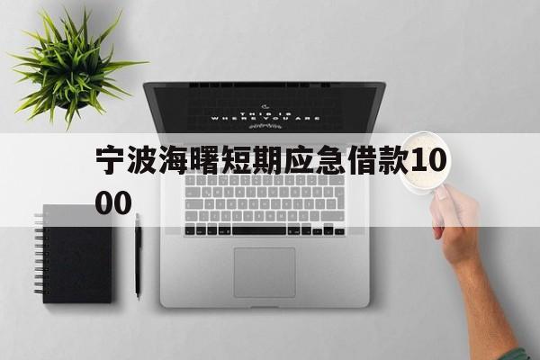 宁波海曙短期应急借款1000