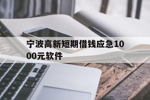 宁波高新短期借钱应急1000元软件