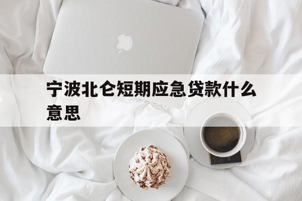 宁波北仑短期应急贷款什么意思