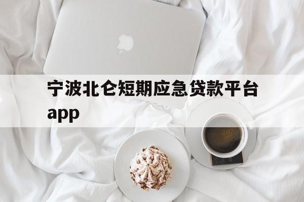 宁波北仑短期应急贷款平台app