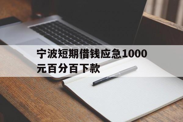 宁波短期借钱应急1000元百分百下款